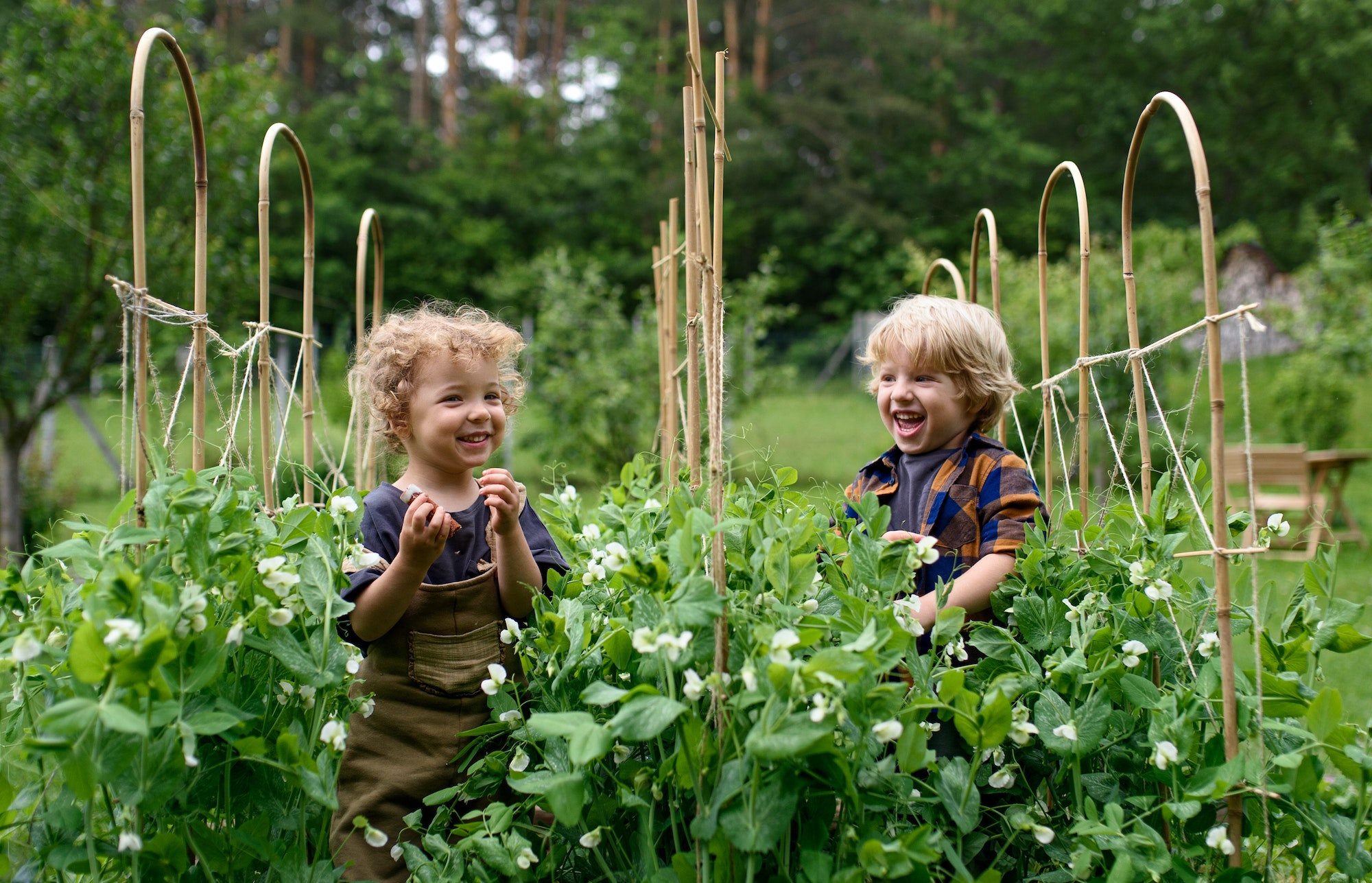 Portrait of two small children in vegetable garden, sustainable lifestyle